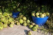 Thai coconuts