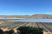 South Africa site 2