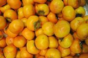 KR persimmons