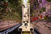 Eternal.ag Harvester robot tomatoes