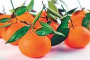 Earlyna mandarin