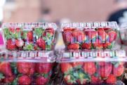 Strawberries in plastic containers Adobe Stock