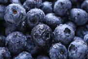 Blueberries Adobe stock
