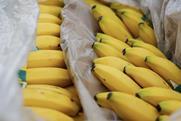 Imported bananas boxed Adobe Stock