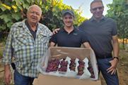 Tiqi grapes Shachar Karniel Grapa Global Jacobus van der Merwe Fruitips Rafi Karniel Grapa