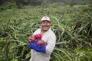 A dragon fruit grower and supplier to Innocent Drinks