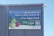 Two-a-Day Tru-Cape