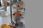 Cítricos Valencianos PGI