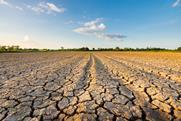 The report urges importers to prepare for increasingly frequent extreme weather events in supply regions