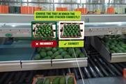 Avocados Australia VR supply chain training programme