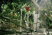 Rijk Zwaan Eternal.ag Harvester robot tomatoes
