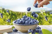 SanLucar blueberries Blue Wonders