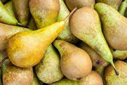 Conference pears