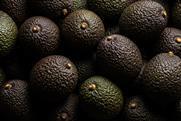 Hass avocados Adobe Stock