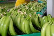 GEN bananas AdobeStock_508657548