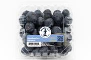 North Bay Produce new logo branding blueberries 2026