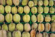 Vietnamese durian Vietnam AdobeStock_962894185