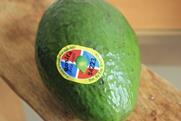 DR avocados