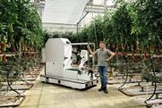 Jeffry Van Noord with Eternal.ag's Harvester in tomato greenhouse