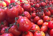 Tomatoes