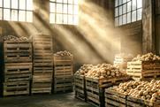 Generic potatoes in storage with light coming through Adobe Stock