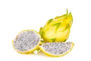 Tierra Suelta GoldenDragonFruit