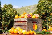Sunkist mixed citrus in wooden box