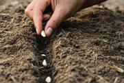 Planting seeds Adobe Stock