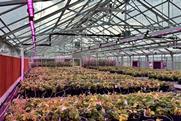 Michigan State University AgBioResearch