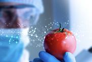 Gene editing Tomato DNA Adobe Stock