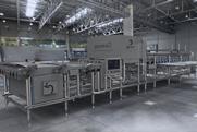 GP Graders GP Vision blueberry sorting grading