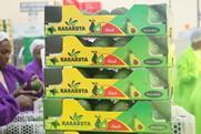 KE Karakuta avocado boxes