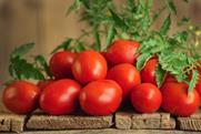 Roma tomatoes