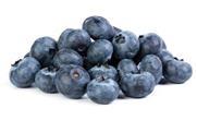 BelOrta Hoogstraten blueberries