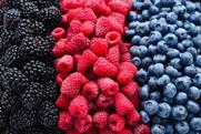 GEN blackberries raspberries blueberries Adobe Stock 301753730