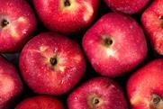 Red Delicious Adobe Stock