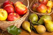 NL apples pear GroentenFruit Huis