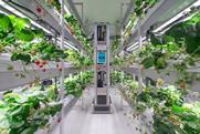Sumitomo Corporation HarvestX automated strawberry pollinator