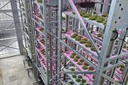 Urban Crop Solutions indoor farming leafy greens