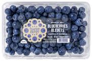 Oppy Happy Berry blueberries