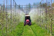 Tractor spraying in Korean apple orchard