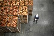 Apples coldstore DP World