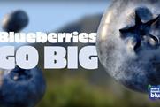 Blueberries Go Big Campaign