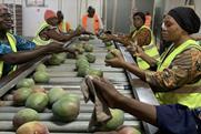 Fruiteq Eosta mango packing line Ivory Coast
