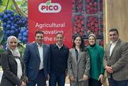 Pico team