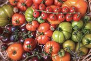 Mixed Tomato varieties in basket Adobe Stock