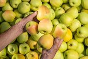 IT Melinda Golden apples