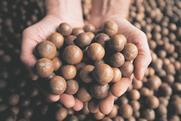 Australian macadamias