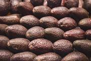 Hass avocados packed in rows Adobe Stock