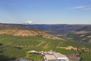 Orchard View cherry production site